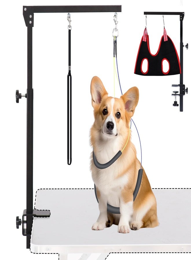 AGESISI Dog Grooming Arm with Clamp, Heavy Duty Pet Grooming Table Arm with Grooming Hammock, Loop Noose & Two No-Sit Haunch Holder, 36" Height Adjustable for Medium & Small Pets, Black - Image 1